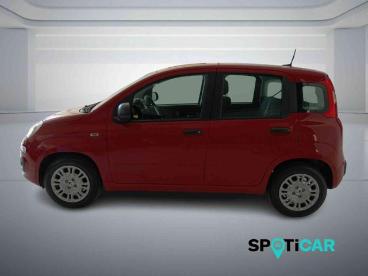 SPOTICAR Fiat Panda 1.0 Firefly S And S Hybrid Pandina Adas Usata - City Car Ibrido Rosso - Bologna - 502428102_4
