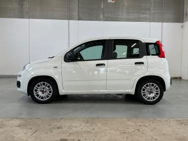 SPOTICAR Fiat Panda 1.0 Firefly 70cv S&s Hybrid Usata - City Car Ibrido Bianco - Vimercate - 1202432460_4