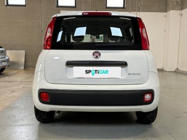 SPOTICAR Fiat Panda 1.0 Firefly 70cv S&s Hybrid Usata - City Car Ibrido Bianco - Vimercate - 1202432460_5
