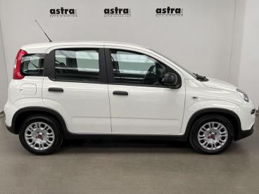 SPOTICAR Fiat Panda 1746-1.0 Firefly Hybrid S And Amp,s 70cv 5p Usata - City Car Ibrido Bianco - Arona - 502437266_3