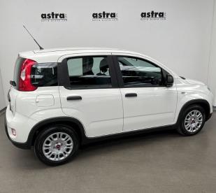 SPOTICAR Fiat Panda 1746-1.0 Firefly Hybrid S And Amp,s 70cv 5p Usata - City Car Ibrido Bianco - Arona - 502437266_4