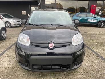 SPOTICAR Fiat Panda Nuova 1.0 70cv Hybrid Panda Usata - City Car Ibrido Nero - Reggio Emilia - 502444865_2