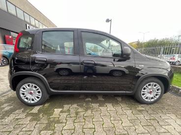 SPOTICAR Fiat Panda Nuova 1.0 70cv Hybrid Panda Usata - City Car Ibrido Nero - Reggio Emilia - 502444865_4