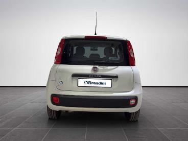 SPOTICAR Fiat Panda 1.2 Pop 69cv Usata - City Car Benzina Bianco - Sesto Fiorentino - 1202448627_5