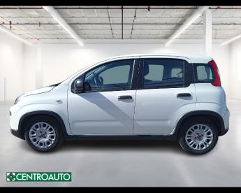 SPOTICAR Fiat Panda Iii 2021 1.0 Firefly Hybrid S And S 70cv Usata - City Car Ibrido Bianco - Viterbo - 502450388_4