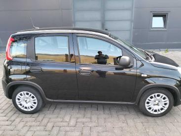 SPOTICAR Fiat Panda 1.0 Firefly S&s Hybrid City Life Usata - City Car Benzina Nero - Norcia - 1202450574_3