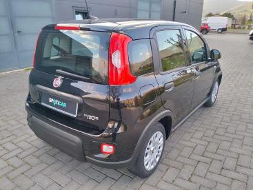SPOTICAR Fiat Panda 1.0 Firefly S&s Hybrid City Life Usata - City Car Benzina Nero - Norcia - 1202450574_5