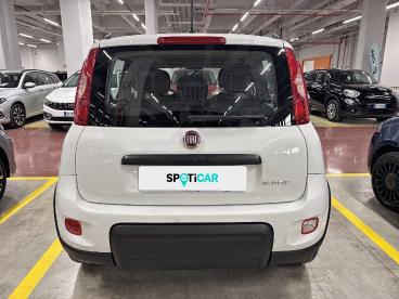 SPOTICAR Fiat Panda 1.0 Firefly 70cv S&s Hybrid City Life Usata - City Car Ibrido Bianco - Palermo - 1202452552_5