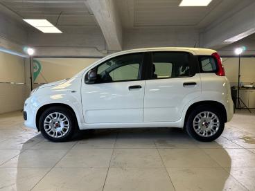 SPOTICAR Fiat Panda 1.0 Firefly 70cv S&s Hybrid Usata - City Car Ibrido Bianco - Milano - 1202453115_4