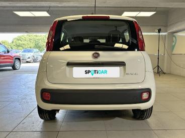 SPOTICAR Fiat Panda 1.0 Firefly 70cv S&s Hybrid Usata - City Car Ibrido Bianco - Milano - 1202453115_5
