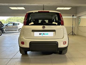 SPOTICAR Fiat Panda 1.0 Firefly 70cv S&s Hybrid City Life Usata - City Car Ibrido Bianco - Milano - 1202453959_5