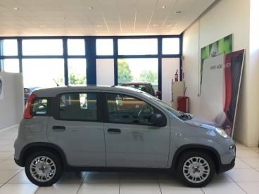SPOTICAR Fiat Panda 1.0 Firefly 70cv S And S Hybrid My23 Usata - City Car Ibrido Grigio - Zimella - 502456306_2