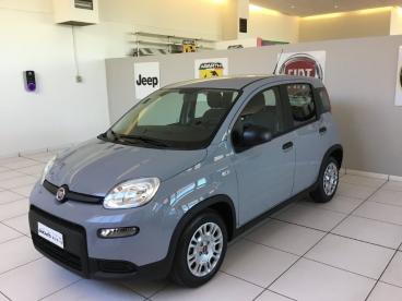 SPOTICAR Fiat Panda 1.0 Firefly 70cv S And S Hybrid My23 Usata - City Car Ibrido Grigio - Zimella - 502456306_3