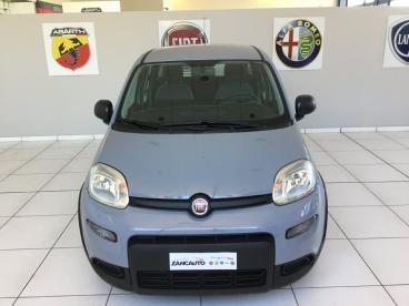 SPOTICAR Fiat Panda 1.0 Firefly 70cv S And S Hybrid My23 Usata - City Car Ibrido Grigio - Zimella - 502456306_4