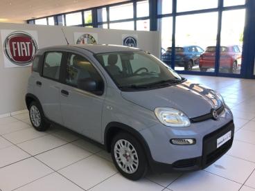 SPOTICAR Fiat Panda 1.0 Firefly 70cv S And S Hybrid My23 Usata - City Car Ibrido Grigio - Zimella - 502456306_5