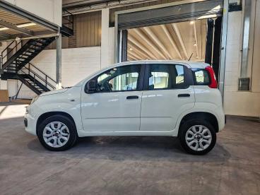 SPOTICAR Fiat Panda 0.9 T.air T. Natural Power Easy 70cv Usata - City Car Gpl-metano Bianco - Rivoli - 1202461766_2