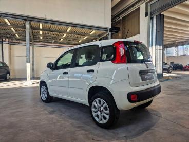 SPOTICAR Fiat Panda 0.9 T.air T. Natural Power Easy 70cv Usata - City Car Gpl-metano Bianco - Rivoli - 1202461766_3