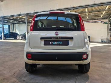 SPOTICAR Fiat Panda 0.9 T.air T. Natural Power Easy 70cv Usata - City Car Gpl-metano Bianco - Rivoli - 1202461766_4