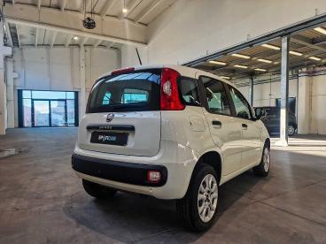 SPOTICAR Fiat Panda 0.9 T.air T. Natural Power Easy 70cv Usata - City Car Gpl-metano Bianco - Rivoli - 1202461766_5
