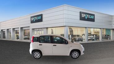SPOTICAR Fiat Panda 3&ordf; Serie 1.2 Easy Usata - City Car Benzina Beige - Imola - 502462824_4