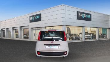 SPOTICAR Fiat Panda 3&ordf; Serie 1.2 Easy Usata - City Car Benzina Beige - Imola - 502462824_5