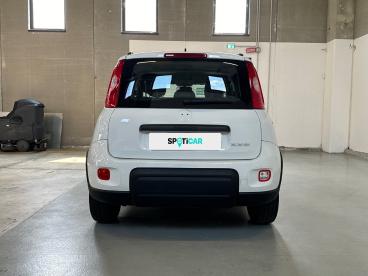 SPOTICAR Fiat Panda 1.0 Firefly 70cv S&s Hybrid City Life Usata - City Car Ibrido Bianco - Vimercate - 1202463464_5