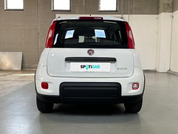 SPOTICAR Fiat Panda 1.0 Firefly 70cv S&s Hybrid City Life Usata - City Car Ibrido Bianco - Vimercate - 1202465764_5