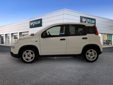 SPOTICAR Fiat Panda 1.0 70cv Hybrid Panda Usata - City Car Ibrido Bianco - Lancusi - 502467985_4
