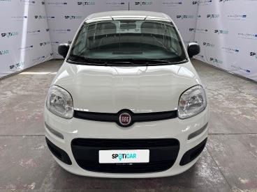 SPOTICAR Fiat Panda 1.0 Firefly 70cv S&s Hybrid Usata - City Car Ibrido Bianco - Roma - 1202473164_2