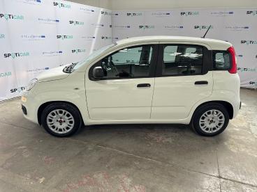 SPOTICAR Fiat Panda 1.0 Firefly 70cv S&s Hybrid Usata - City Car Ibrido Bianco - Roma - 1202473164_4