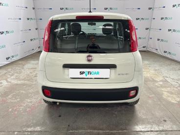 SPOTICAR Fiat Panda 1.0 Firefly 70cv S&s Hybrid Usata - City Car Ibrido Bianco - Roma - 1202473164_5