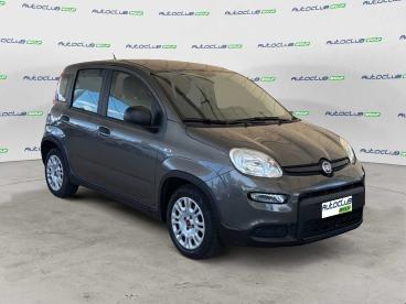 SPOTICAR Fiat Panda 1.2 Easypower Gpl S&s 69cv Usata - City Car Gpl-metano Grigio - Bari - 1202479256_1