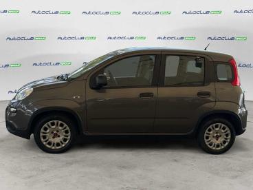 SPOTICAR Fiat Panda 1.2 Easypower Gpl S&s 69cv Usata - City Car Gpl-metano Grigio - Bari - 1202479256_4