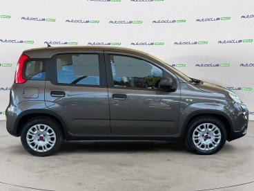 SPOTICAR Fiat Panda 1.2 Easypower Gpl S&s 69cv Usata - City Car Gpl-metano Grigio - Bari - 1202479256_5
