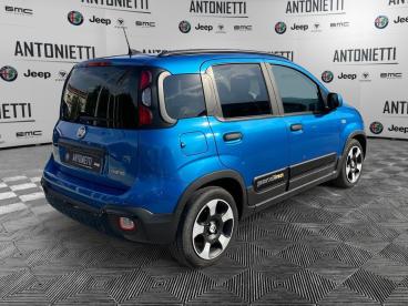 SPOTICAR Fiat Panda 1.0 Firefly 70cv S And S Hybrid Pandina Cross Look Usata - City Car Ibrido Azzurro - Fabriano - 602480358_5