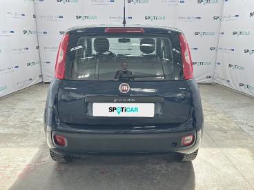 SPOTICAR Fiat Panda 1.2 69cv E6 Easy Usata - City Car Benzina Blu - Roma - 1202485619_5