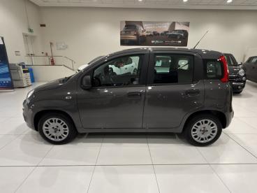 SPOTICAR Fiat Panda 1.2 Fire 69cv S&s Easypower Usata - City Car Gpl-metano Grigio - Napoli - 1202487375_4
