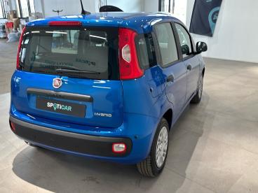 SPOTICAR Fiat Panda 1.0 Firefly 70cv  Hybrid Usata - City Car Ibrido Blu - Bologna - 602487866_4