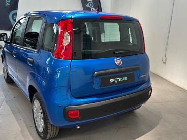 SPOTICAR Fiat Panda 1.0 Firefly 70cv  Hybrid Usata - City Car Ibrido Blu - Bologna - 602487866_5
