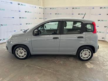 SPOTICAR Fiat Panda 1.0 Firefly 70cv S&s Hybrid Usata - City Car Ibrido Grigio - Roma - 1202504143_4
