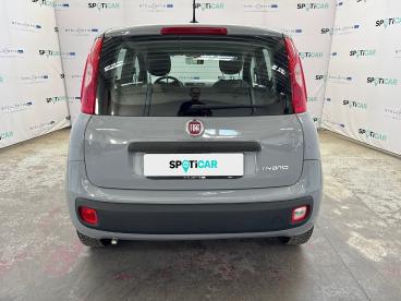 SPOTICAR Fiat Panda 1.0 Firefly 70cv S&s Hybrid Usata - City Car Ibrido Grigio - Roma - 1202504143_5