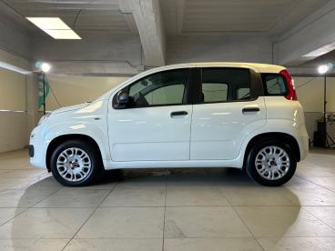 SPOTICAR Fiat Panda 1.2 69 Cv Easypower E6d-temp Easy Usata - City Car Gpl-metano Bianco - Milano - 1202504572_4