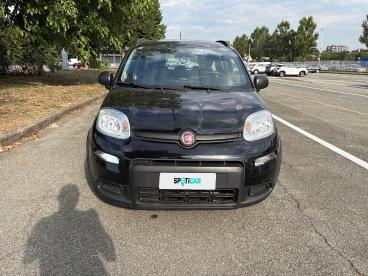 SPOTICAR Fiat Panda 1.0 Firefly 70cv S&s Hybrid City Life Usata - City Car Ibrido Nero - Torino - 1202506016_2