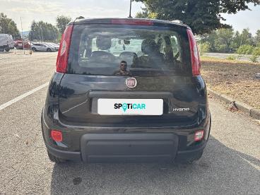 SPOTICAR Fiat Panda 1.0 Firefly 70cv S&s Hybrid City Life Usata - City Car Ibrido Nero - Torino - 1202506016_5