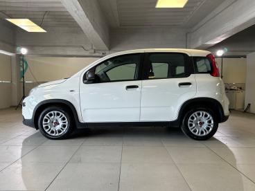 SPOTICAR Fiat Panda 1.0 Firefly 70cv S&s Hybrid Usata - City Car Ibrido Bianco - Milano - 1202507495_4