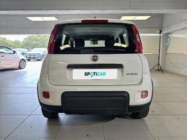 SPOTICAR Fiat Panda 1.0 Firefly 70cv S&s Hybrid Usata - City Car Ibrido Bianco - Milano - 1202507495_5