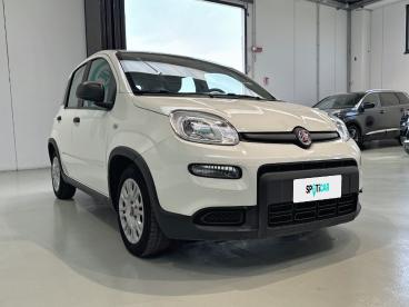 SPOTICAR Fiat Panda 1.0 Firefly 70cv S&s Hybrid Usata - City Car Ibrido Bianco - Vimercate - 1202512905_3