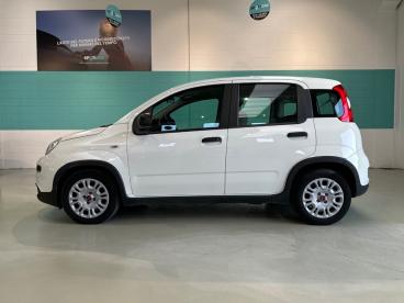 SPOTICAR Fiat Panda 1.0 Firefly 70cv S&s Hybrid Usata - City Car Ibrido Bianco - Vimercate - 1202512905_4