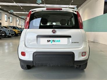 SPOTICAR Fiat Panda 1.0 Firefly 70cv S&s Hybrid Usata - City Car Ibrido Bianco - Vimercate - 1202512905_5