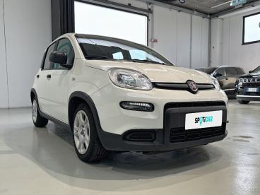 SPOTICAR Fiat Panda 1.0 Firefly 70cv S&s Hybrid Usata - City Car Ibrido Bianco - Vimercate - 1202513183_3